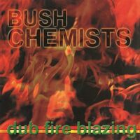 Bush Chemists - Dub Fire Blazing vinyl cover