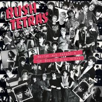 Bush Tetras - Rhythm & Paranoia: The Best Of Bush Tetras vinyl cover