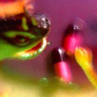 Bush Tetras - Take The Fall vinyl cover