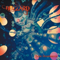 Buzzard - Sonic Renaissance vinyl cover