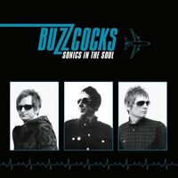 Buzzcocks - Sonics In The Soul 1