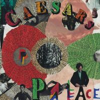 Caesars - Youth Is Wasted On The Young vinyl cover