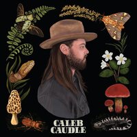 Caleb Caudle - Sweet Critters vinyl cover