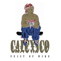 Calexico - Feast Of Wire (20Th Anniversary) vinyl cover