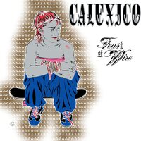 Calexico - Feast of Wire (Bonus Track Version) vinyl cover