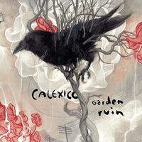 Calexico - Garden Ruin (Silver/White) vinyl cover