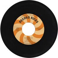 Calibro 35 - Stan Lee / Stan Lee Instrumental vinyl cover