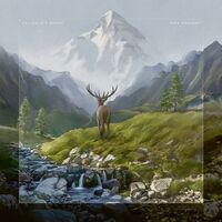 Caligula's Horse - Rise Radiant vinyl cover