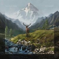 Caligula's Horse - Rise Radiant vinyl cover