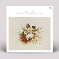 Calm Presents F.K. - Shining Of Life Flutemental - Unreleased Versions vinyl cover