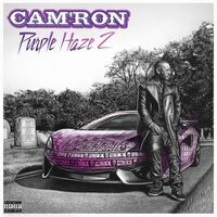Cam'ron - Purple Haze 2 vinyl cover