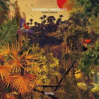 Camarao Orkestra - Nacao Africa vinyl cover
