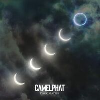 Camelphat - Dark Matter vinyl cover