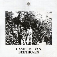 Camper Van Beethoven - II & III (Teal) vinyl cover
