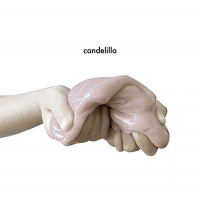 Candelilla - Camping vinyl cover