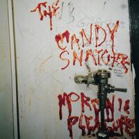 Candy Snatchers - Moronic Pleasures vinyl cover