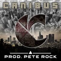 Canibus - C vinyl cover