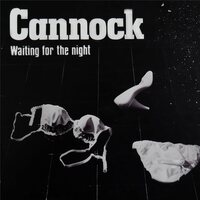 Cannock - Waiting For The Night vinyl cover