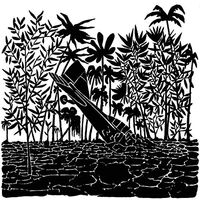 Capitol K - Birdtrapper vinyl cover