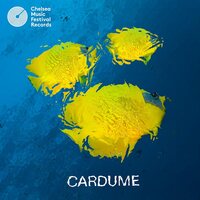 Cardume - Cardume vinyl cover