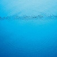 Caribou - Suddenly vinyl cover