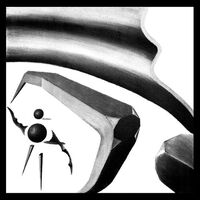 Carl Erdmann - Bizzarrophytes vinyl cover