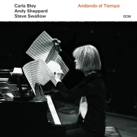 Carla Bley - Andando El Tiempo vinyl cover