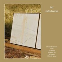 Carlos Ferreira - Flux vinyl cover