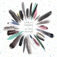 Carlos Sadness - La Idea Salvaje vinyl cover