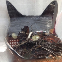 Carlton Melton - Hidden Lights vinyl cover