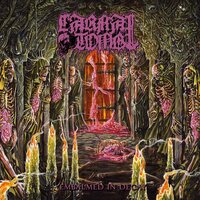 Carnal Tomb - Embalmed In Decay (Magenta/Black Marble) vinyl cover