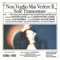Caroline Polachek - Non Voglio Mai Vedere vinyl cover