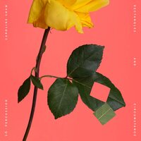 Caroline Shaw & Sō Percussion - Rectangles and Circumstance vinyl cover