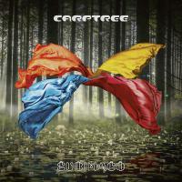 Carptree - Subimago vinyl cover