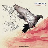 Carsten Halm - Taubenflug vinyl cover
