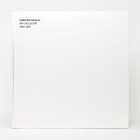 Carsten Nicolai - Ray Collector vinyl cover