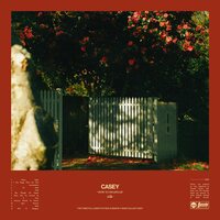 Casey - How To Disappear (Transparent) vinyl cover