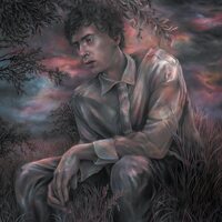 Casey Mq - Later That Day, the Day Before, or the Day Before That vinyl cover