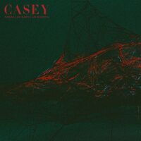 Casey - Where I Go When I Am Sleeping vinyl cover