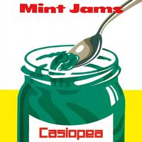 Casiopea - Mint Jams vinyl cover