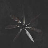 Caspian - Dust And Disquiet vinyl cover
