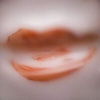 Cass  & Gianni Brezzo - Masala Kiss vinyl cover