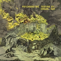 Casual Nun - Psychometric Testing By vinyl cover