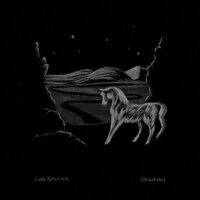 Cate Kennan - Shadows vinyl cover