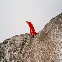 Cate Le Bon - Reward vinyl cover