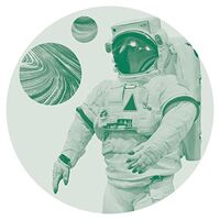 Catz N Dogz - Rmxd vinyl cover