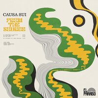Causa Sui - From The Source vinyl cover