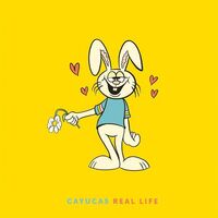 Cayucas - Real Life vinyl cover