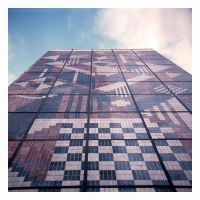 Ceeys - Concrete Fields vinyl cover