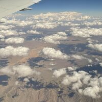 Celia Hollander - 2nd Draft vinyl cover